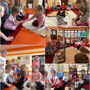 Zdjęcie przedstawia dzieci z grupy Żabki.