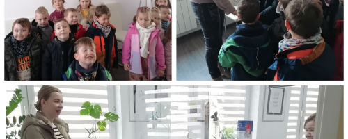 Motylki na wycieczce