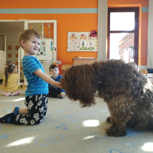 Zdjęcie przedstawia dzieci z grupy Biedronki.