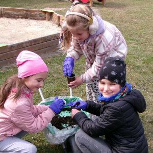 Zdjęcie przedstawia dzieci z grupy Motylki.