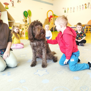 Zdjęcie przedstawia dzieci z grupy Biedronki.