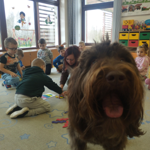 Zdjęcie przedstawia dzieci z grupy Biedronki.