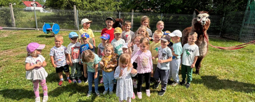 Sówki świętują Dzień Dziecka